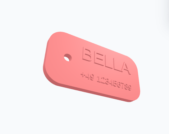 Personalized Pet ID Tag